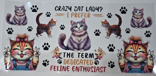 Feline Enthusiast - cat