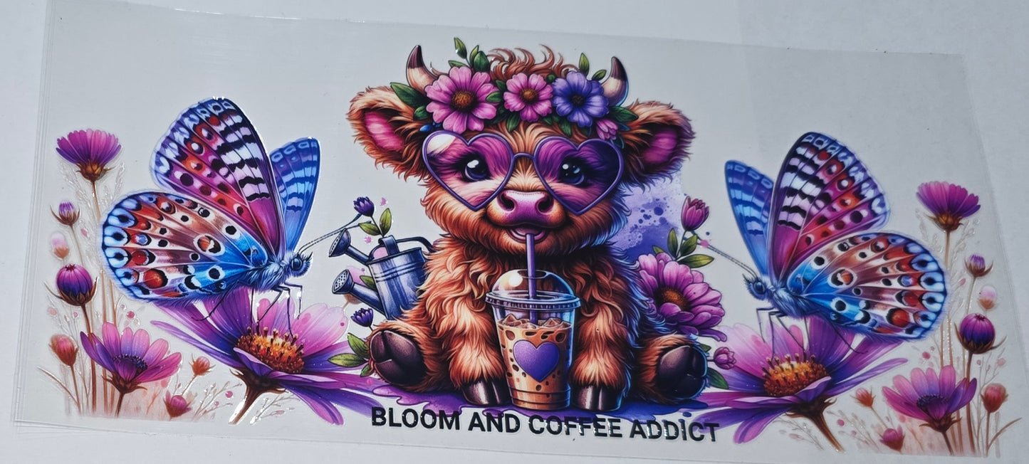 Highland cow bloom and coffee addict