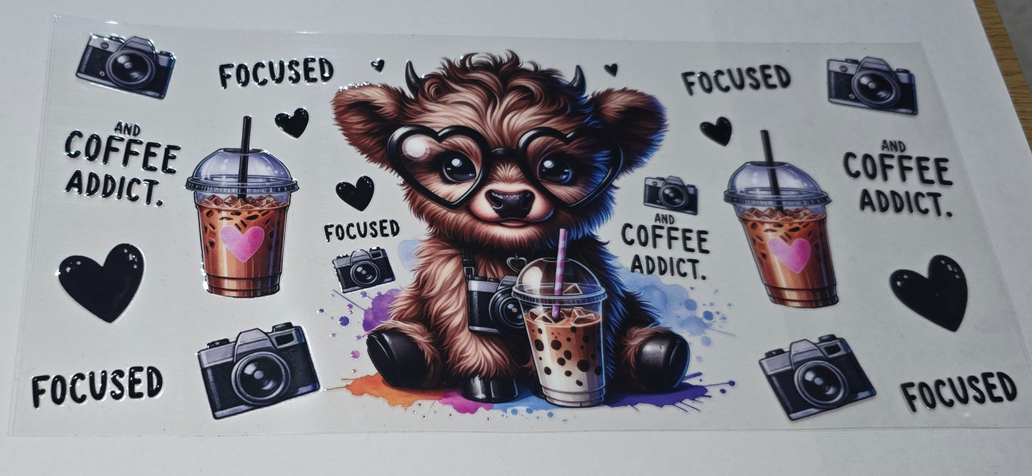 Highland cow focus and coffee