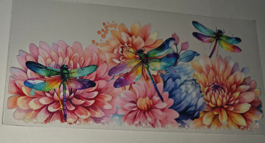 Dragonfly and flowers